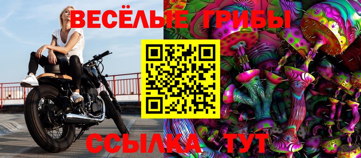 Alpha-PVP СОЛЬ   Канабис  Меф кристаллы  Гашиш  Гашиш  Сунжа  Вход с VPN  Бошки Шишки  КОКАИН 